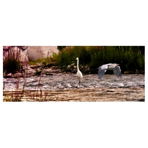 PHOTO84, CLUB, 84 , LUBERON